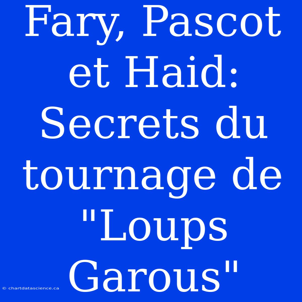 Fary, Pascot Et Haid:  Secrets Du Tournage De 