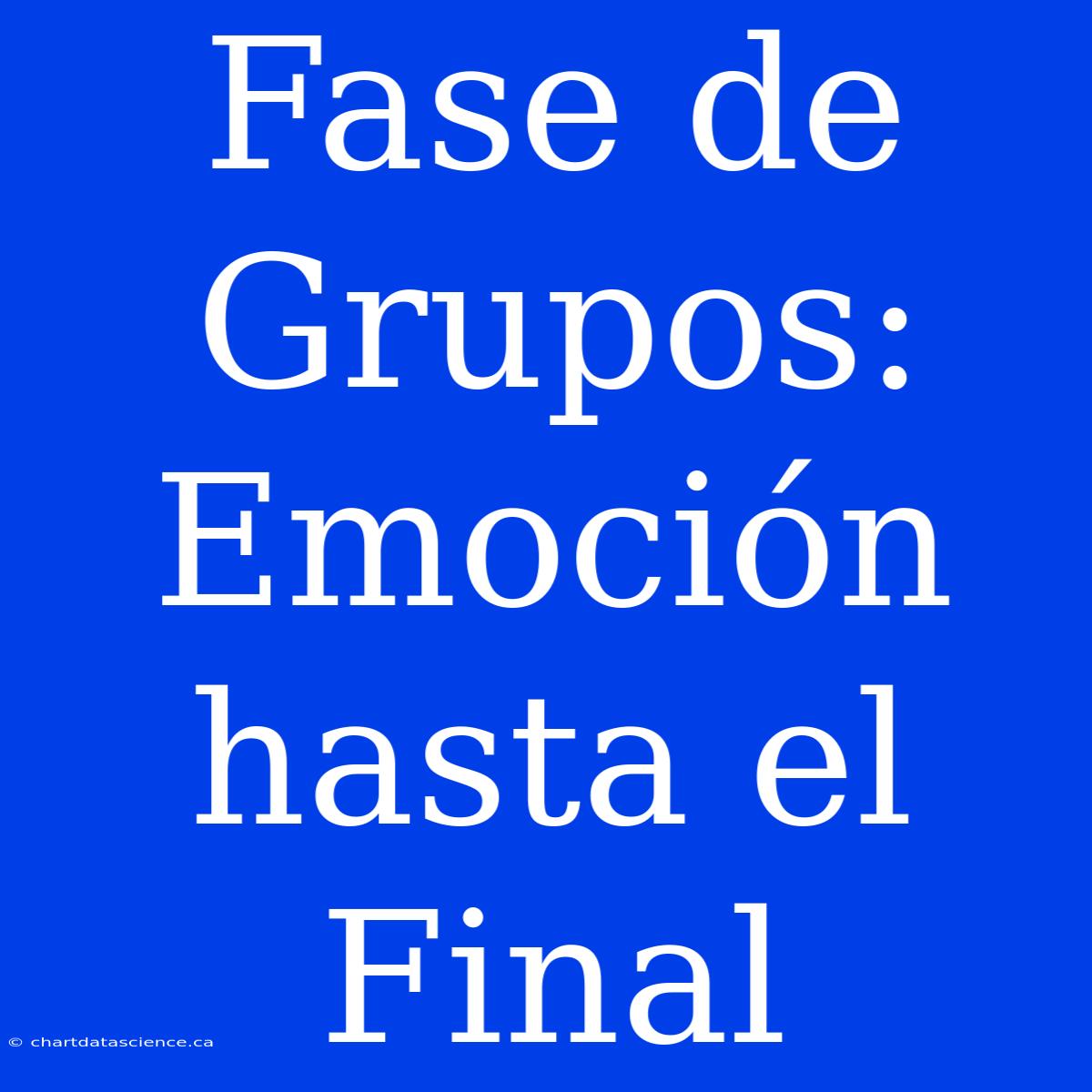 Fase De Grupos: Emoción Hasta El Final