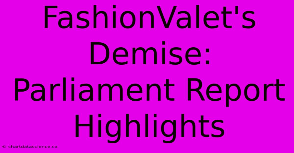 FashionValet's Demise: Parliament Report Highlights