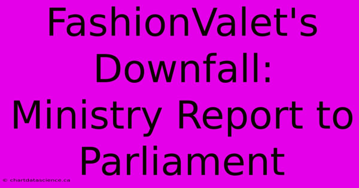 FashionValet's Downfall: Ministry Report To Parliament