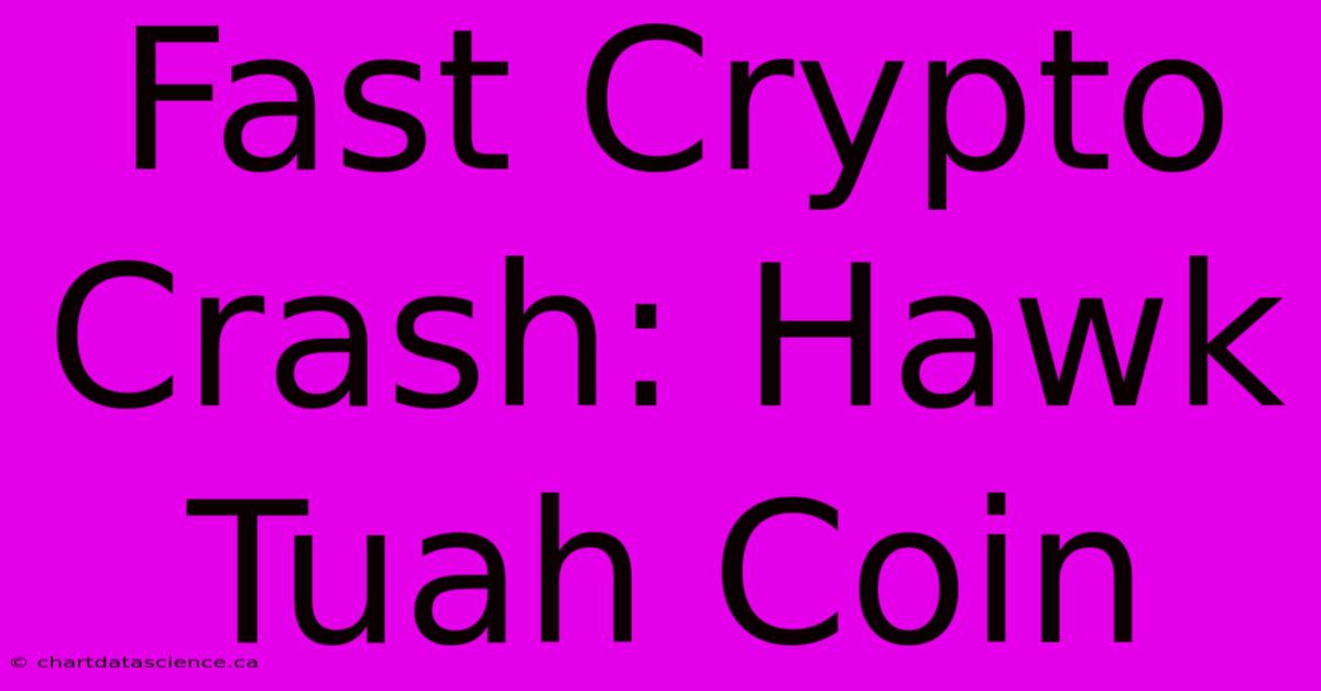 Fast Crypto Crash: Hawk Tuah Coin