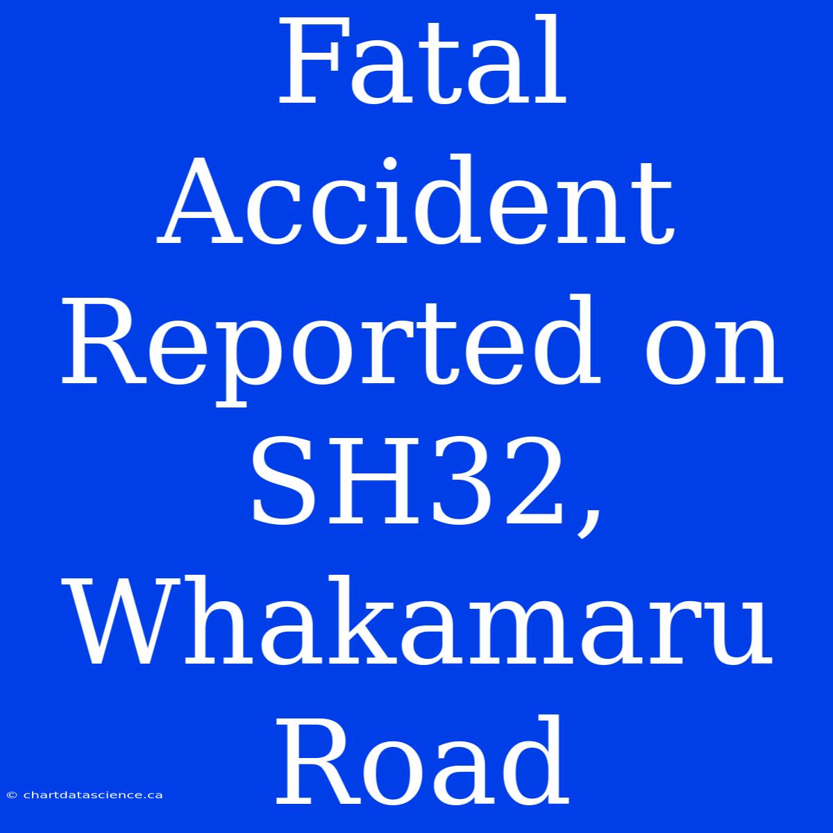 Fatal Accident Reported On SH32, Whakamaru Road