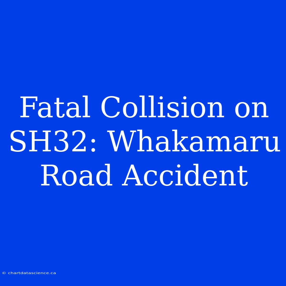 Fatal Collision On SH32: Whakamaru Road Accident