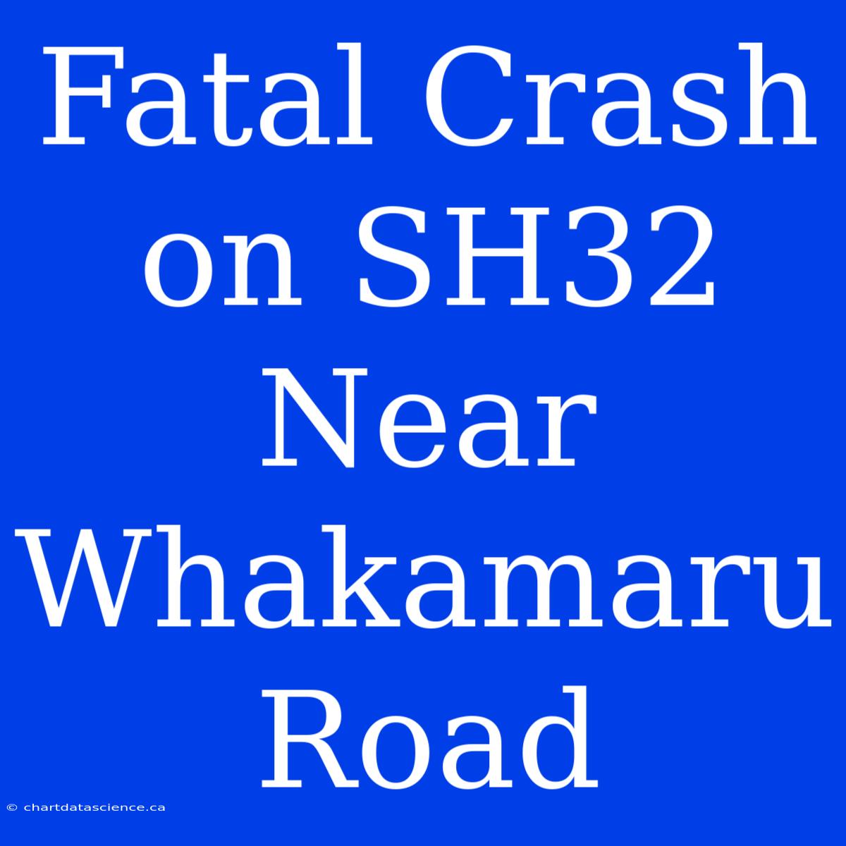 Fatal Crash On SH32 Near Whakamaru Road