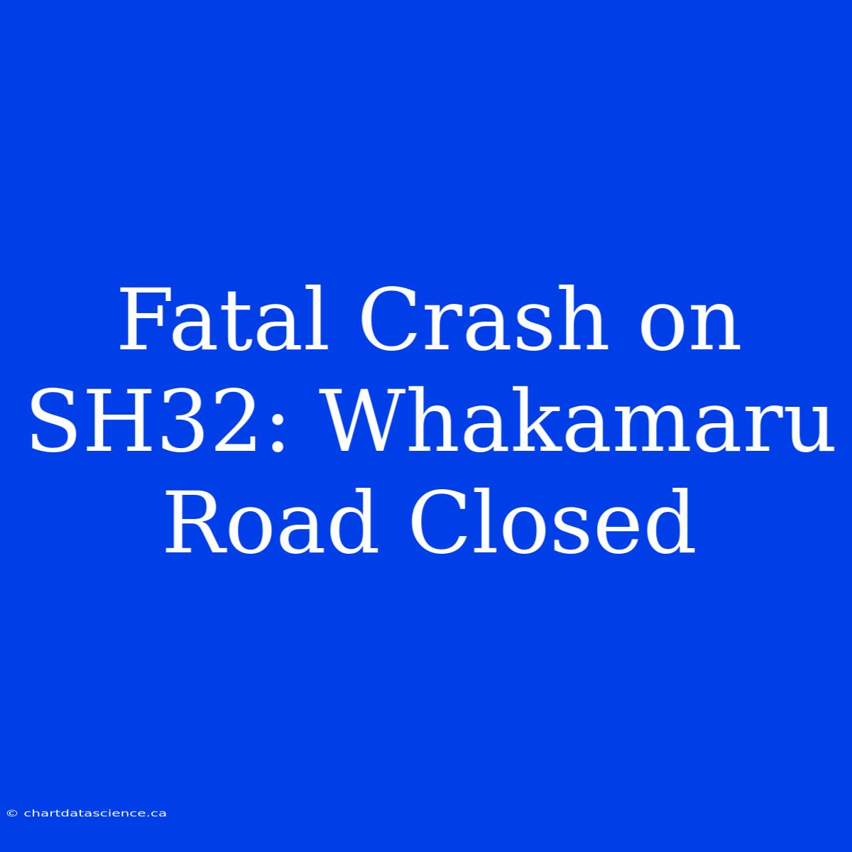 Fatal Crash On SH32: Whakamaru Road Closed