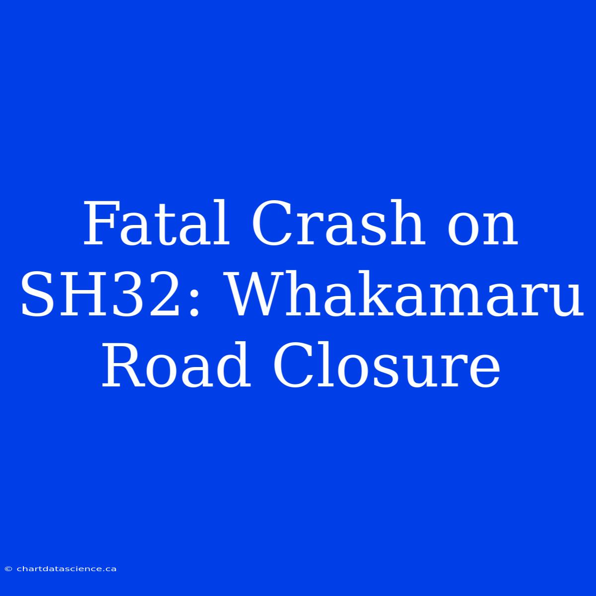 Fatal Crash On SH32: Whakamaru Road Closure