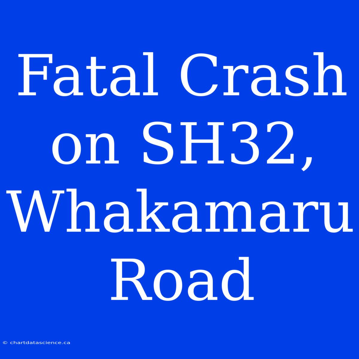 Fatal Crash On SH32, Whakamaru Road