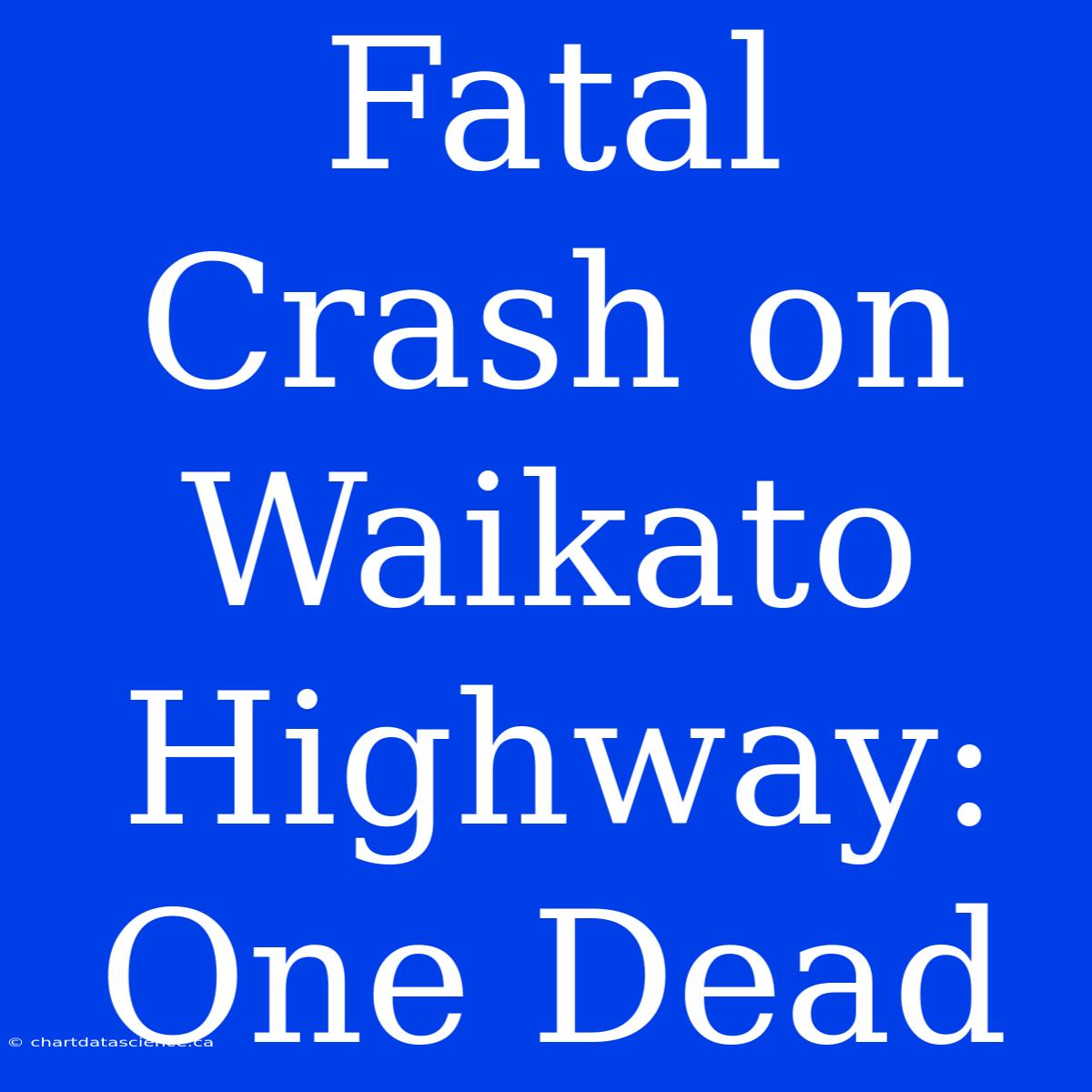 Fatal Crash On Waikato Highway: One Dead