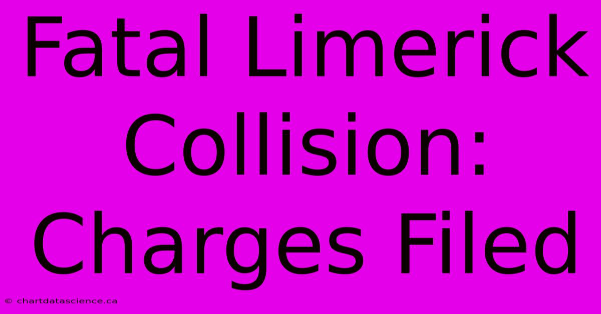 Fatal Limerick Collision: Charges Filed