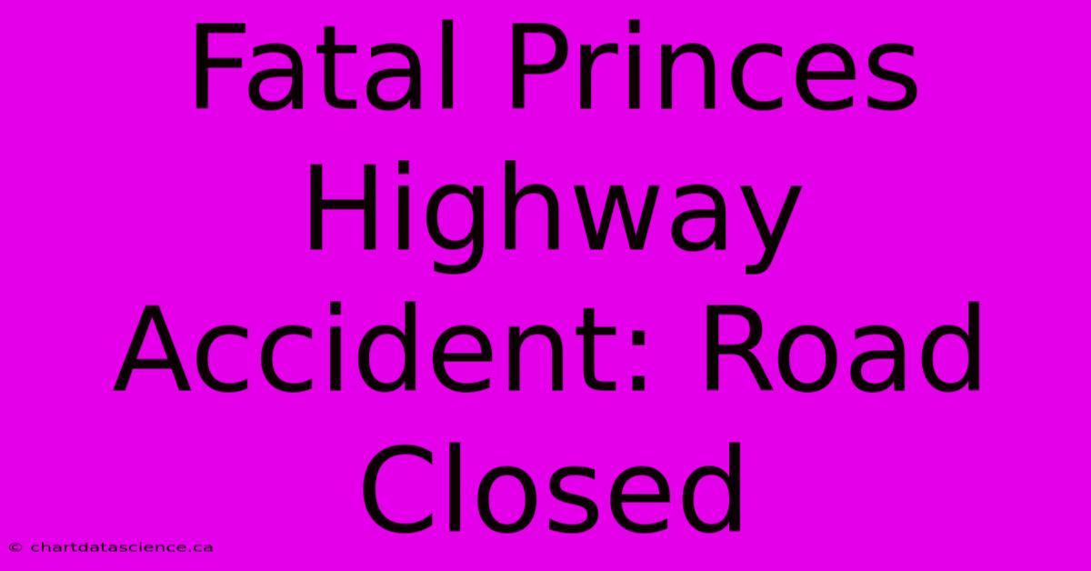 Fatal Princes Highway Accident: Road Closed