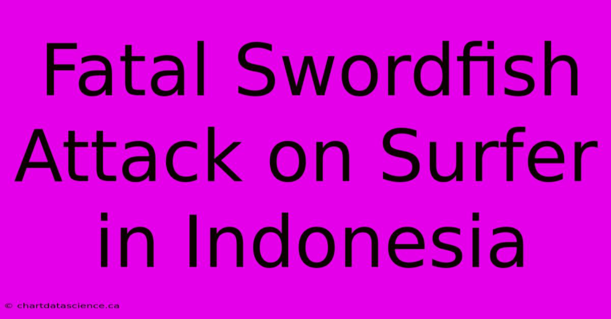 Fatal Swordfish Attack On Surfer In Indonesia 