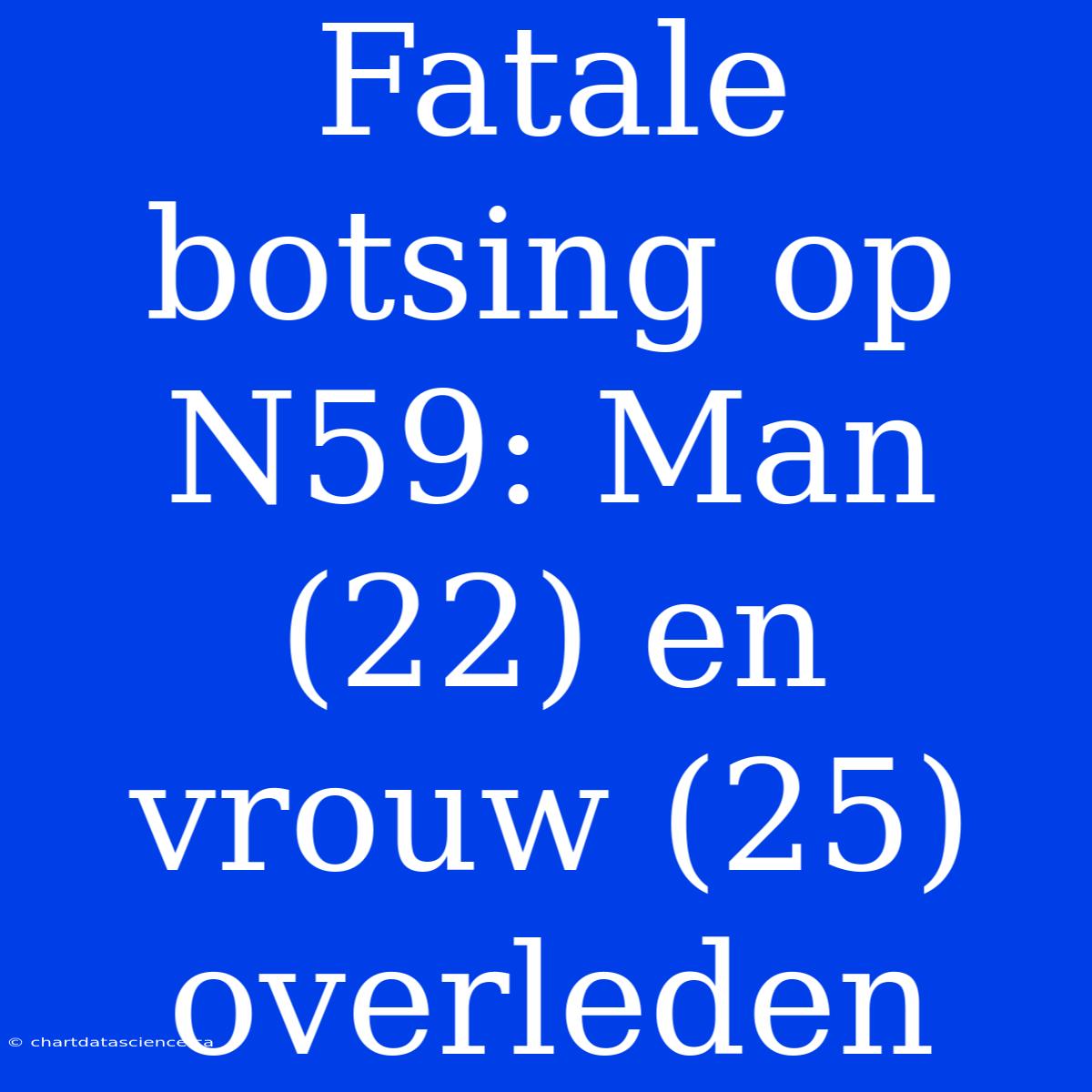 Fatale Botsing Op N59: Man (22) En Vrouw (25) Overleden