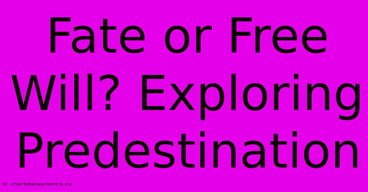 Fate Or Free Will? Exploring Predestination