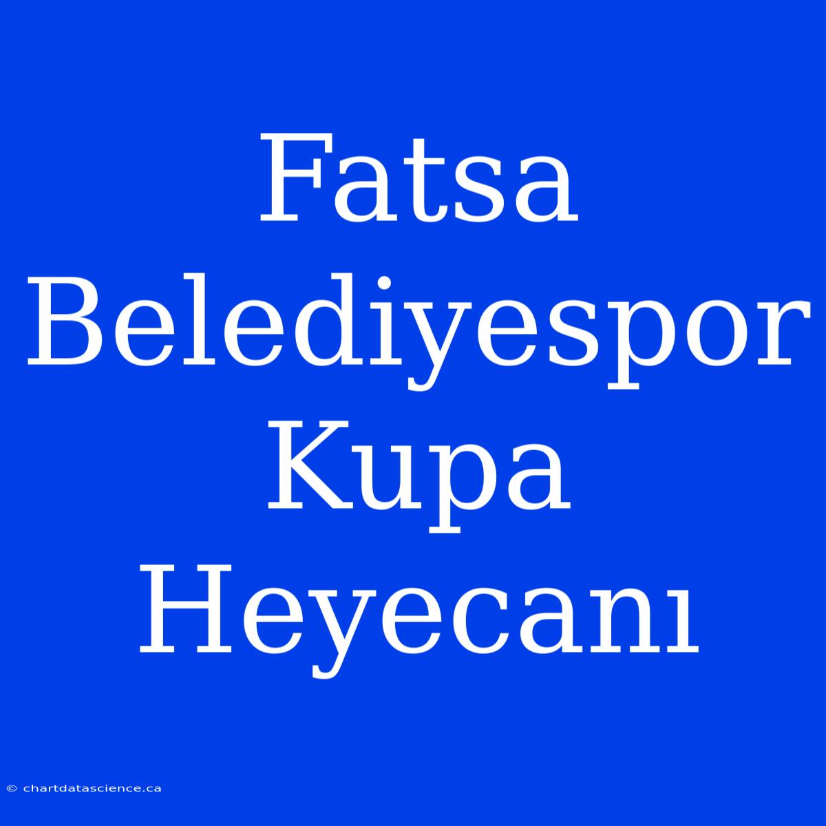 Fatsa Belediyespor Kupa Heyecanı