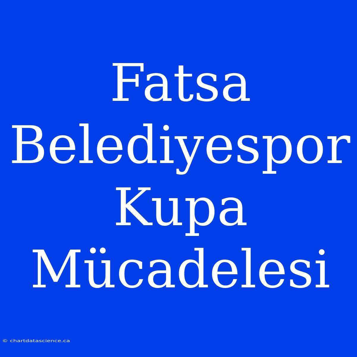 Fatsa Belediyespor Kupa Mücadelesi