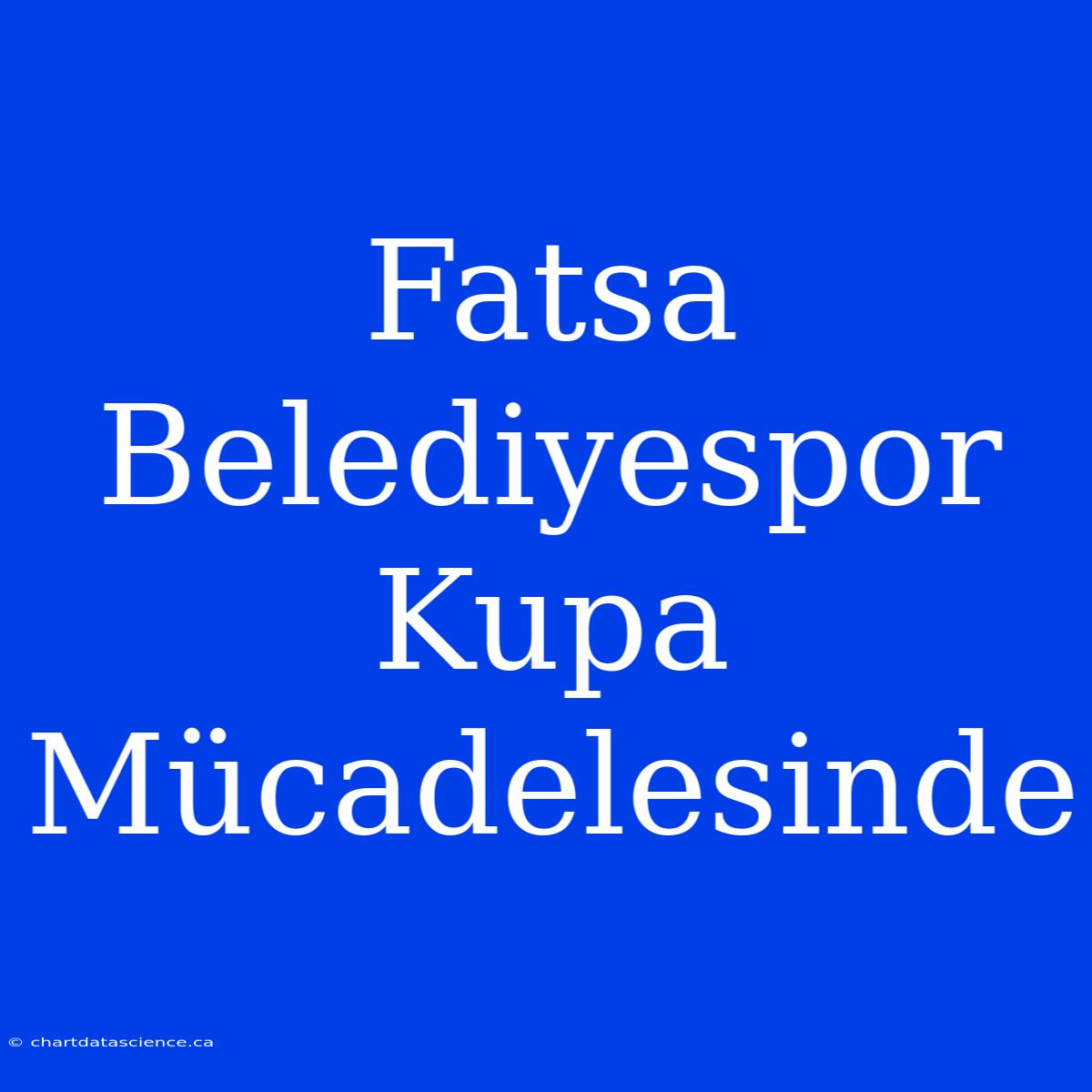 Fatsa Belediyespor Kupa Mücadelesinde