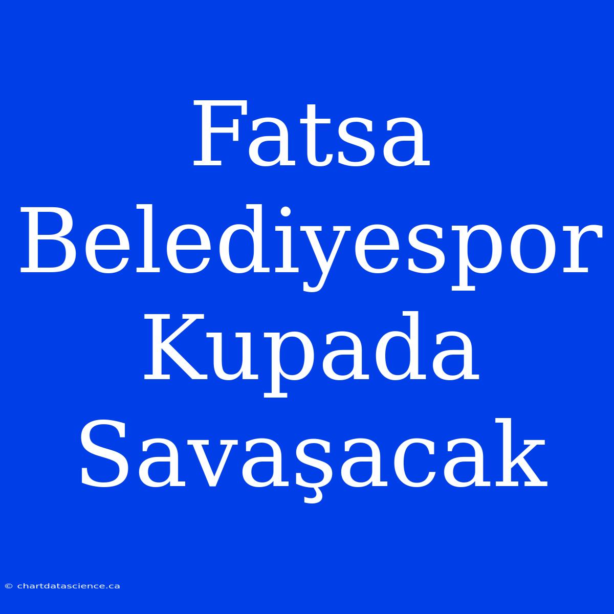 Fatsa Belediyespor Kupada Savaşacak