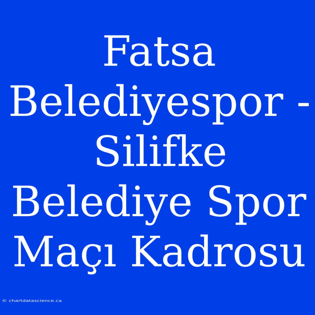 Fatsa Belediyespor - Silifke Belediye Spor Maçı Kadrosu