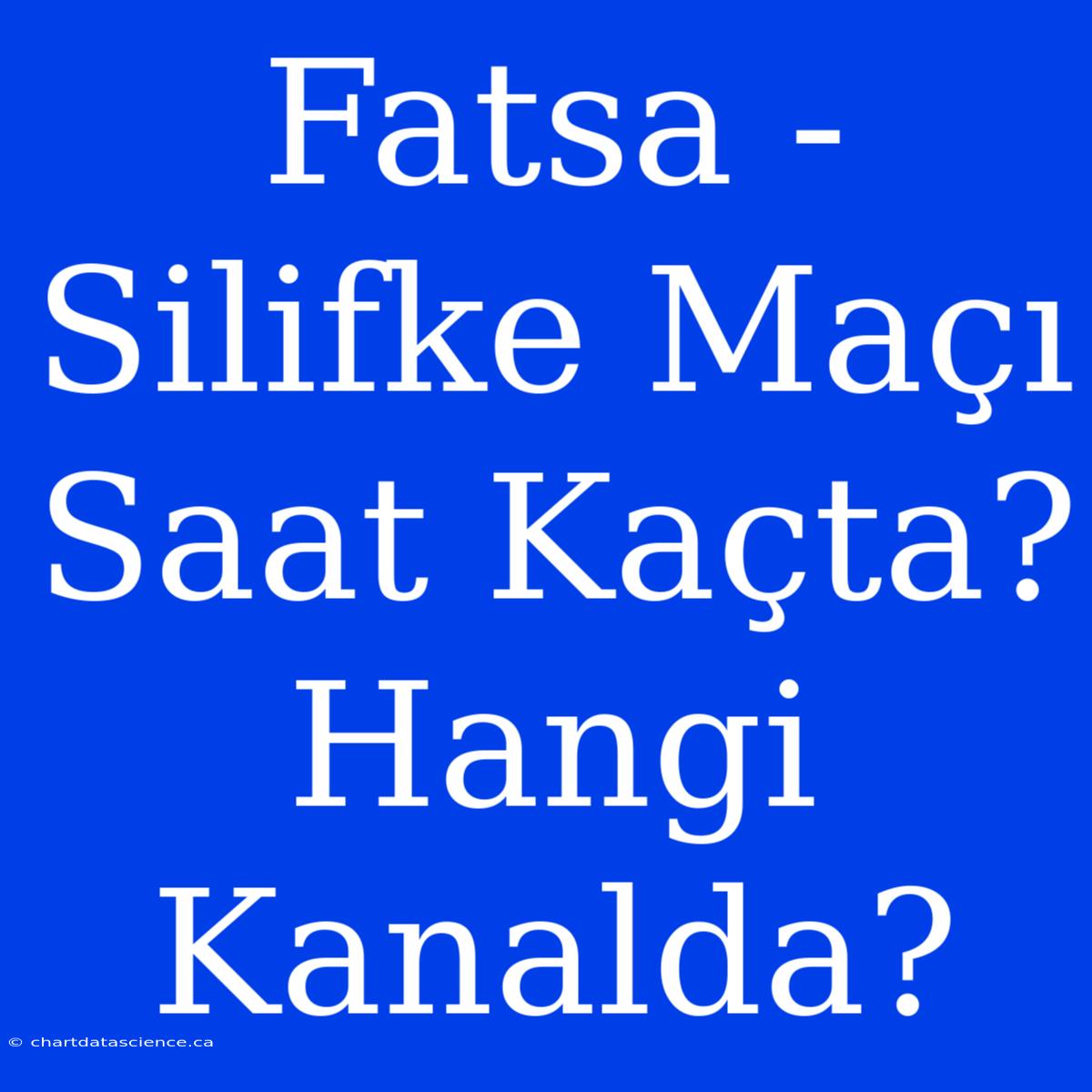 Fatsa - Silifke Maçı Saat Kaçta? Hangi Kanalda?