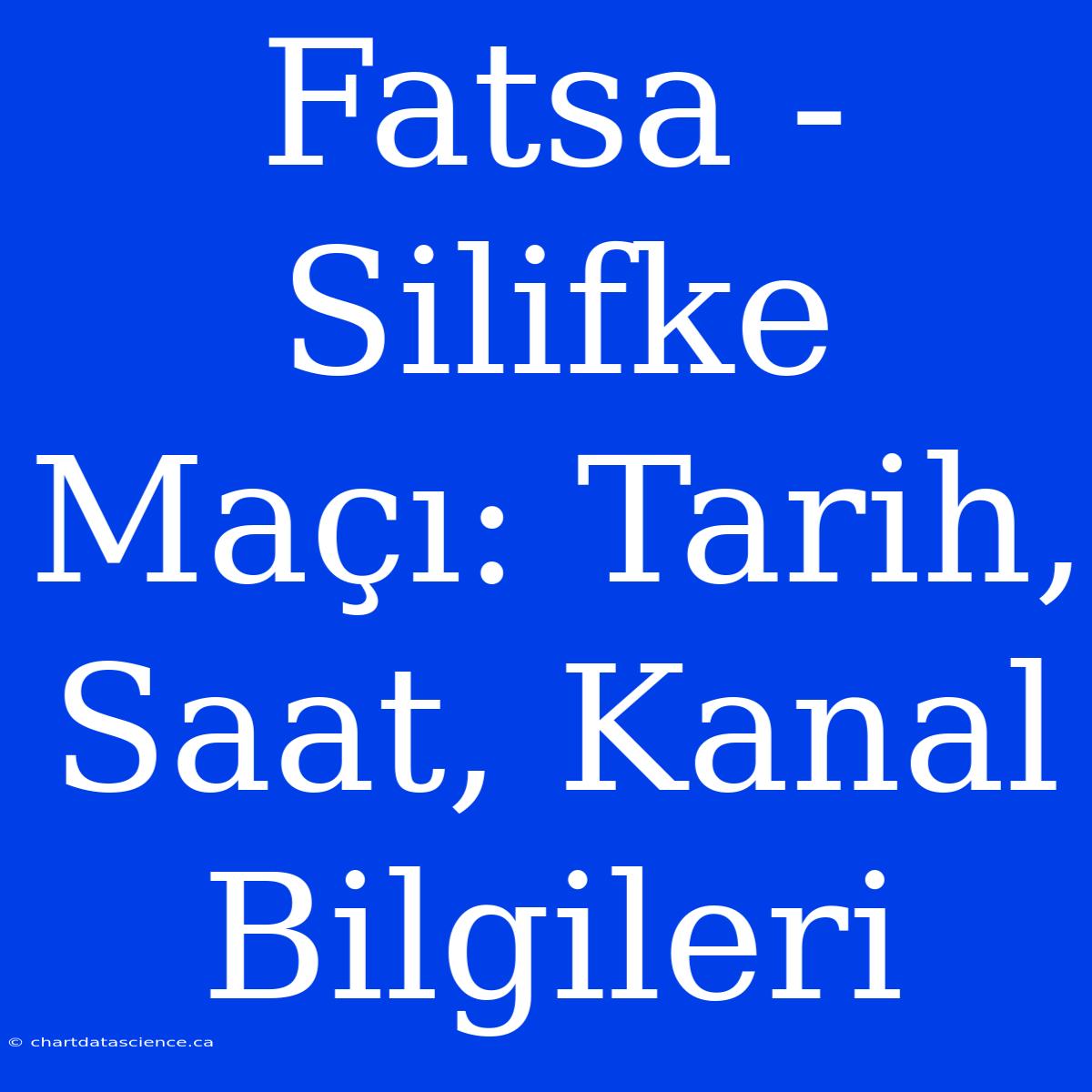 Fatsa - Silifke Maçı: Tarih, Saat, Kanal Bilgileri