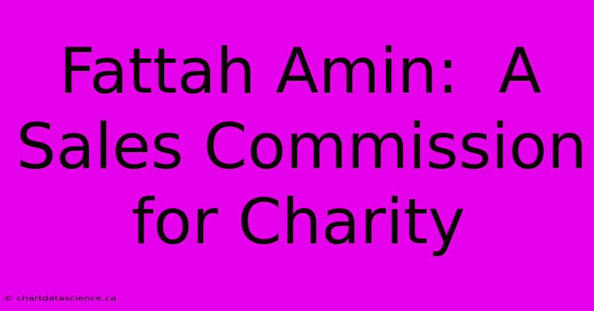 Fattah Amin:  A Sales Commission For Charity