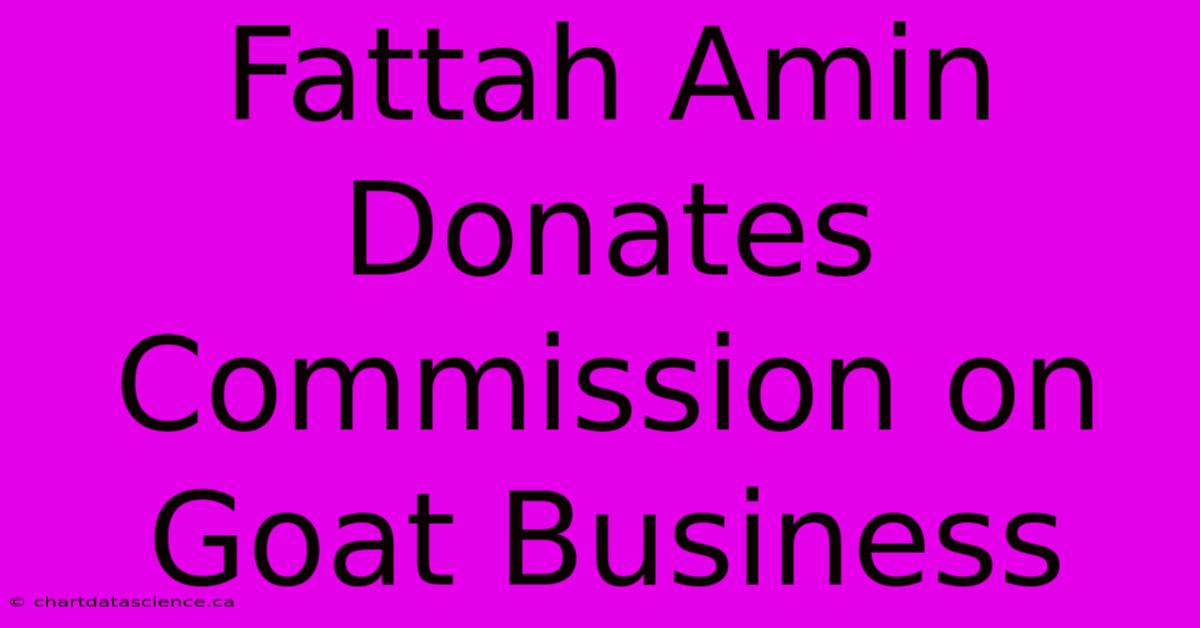 Fattah Amin Donates Commission On Goat Business