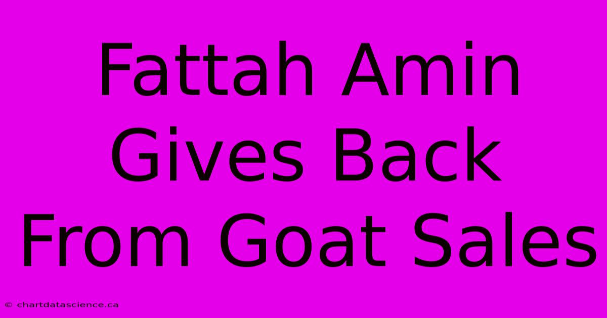 Fattah Amin Gives Back From Goat Sales