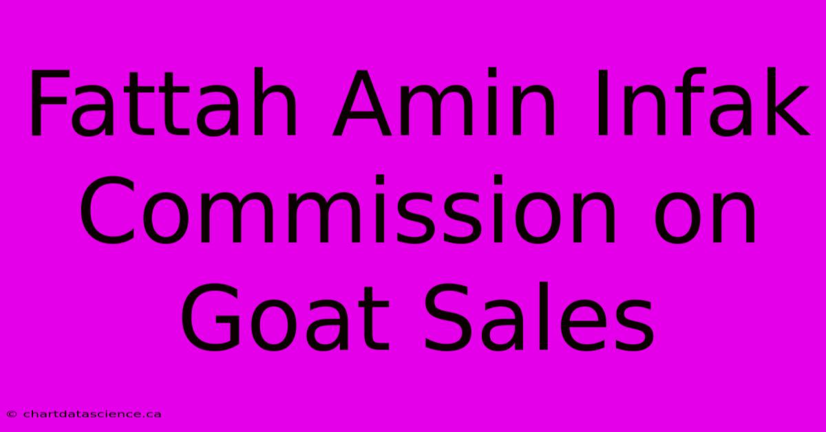 Fattah Amin Infak Commission On Goat Sales