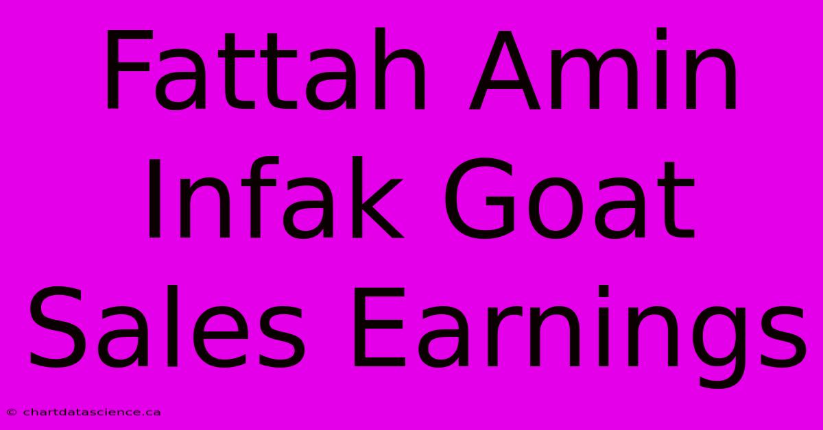 Fattah Amin Infak Goat Sales Earnings