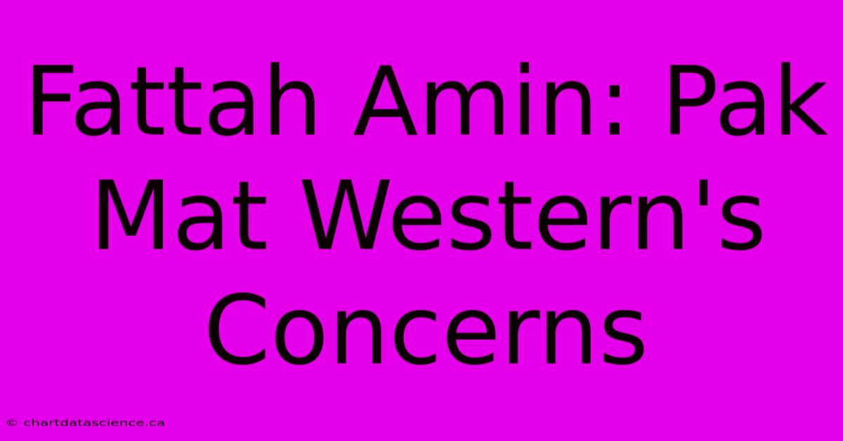 Fattah Amin: Pak Mat Western's Concerns