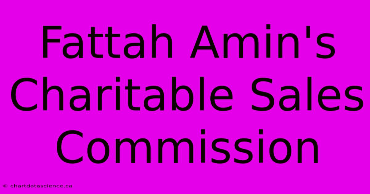 Fattah Amin's Charitable Sales Commission