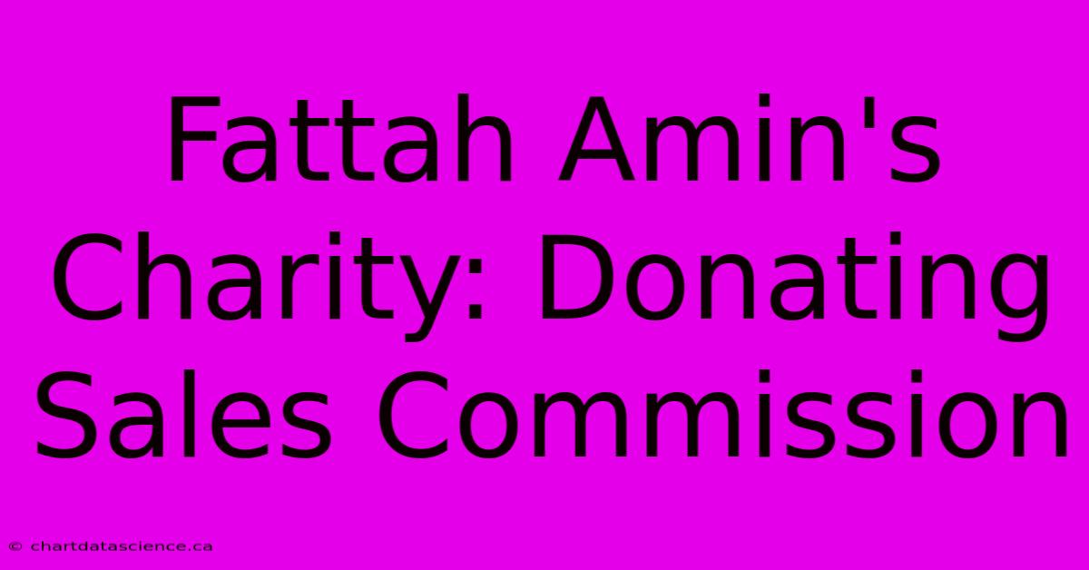 Fattah Amin's Charity: Donating Sales Commission