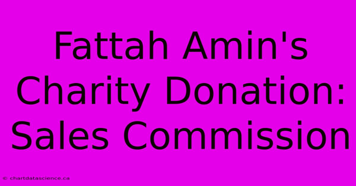 Fattah Amin's Charity Donation: Sales Commission