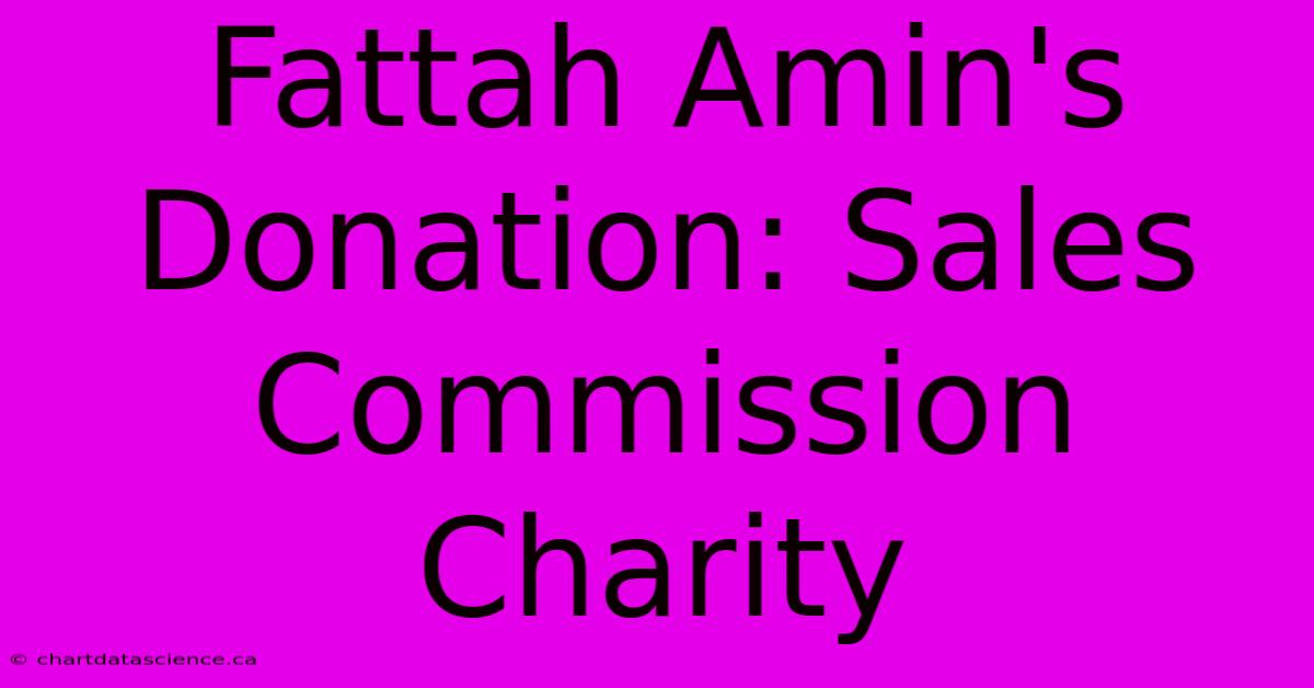 Fattah Amin's Donation: Sales Commission Charity