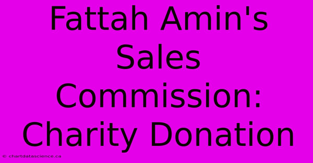 Fattah Amin's Sales Commission: Charity Donation