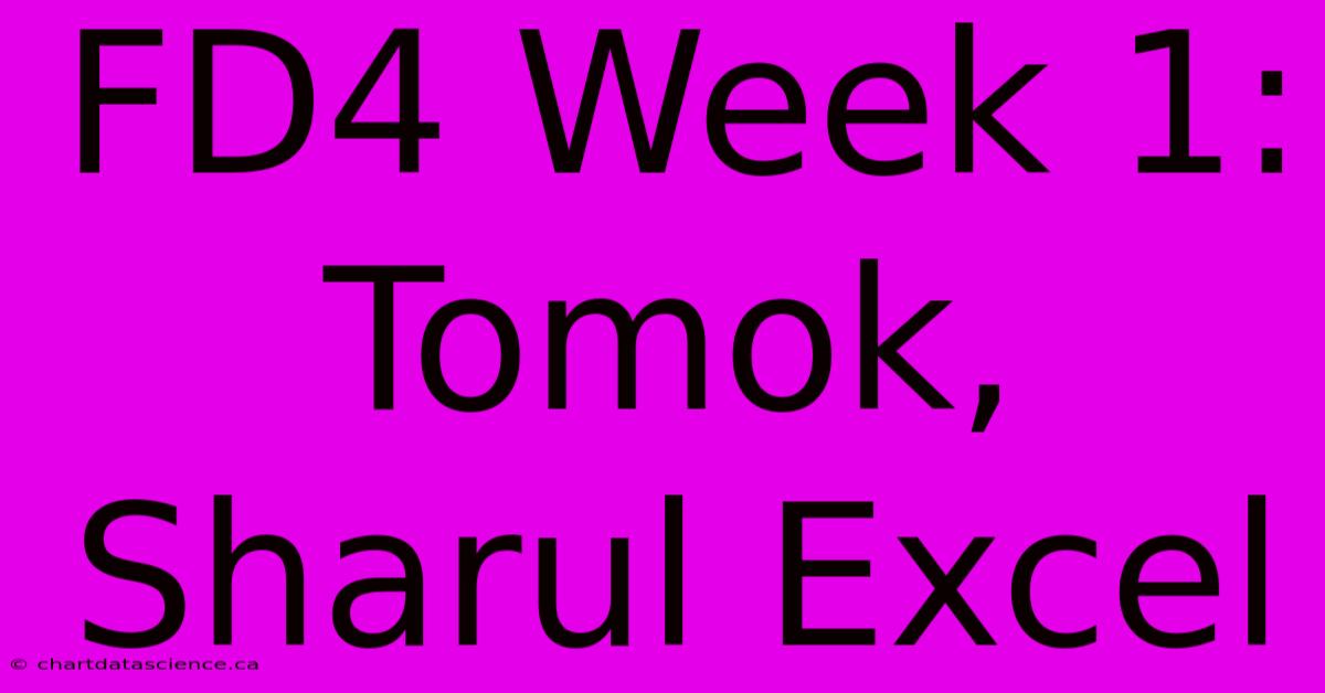 FD4 Week 1: Tomok, Sharul Excel