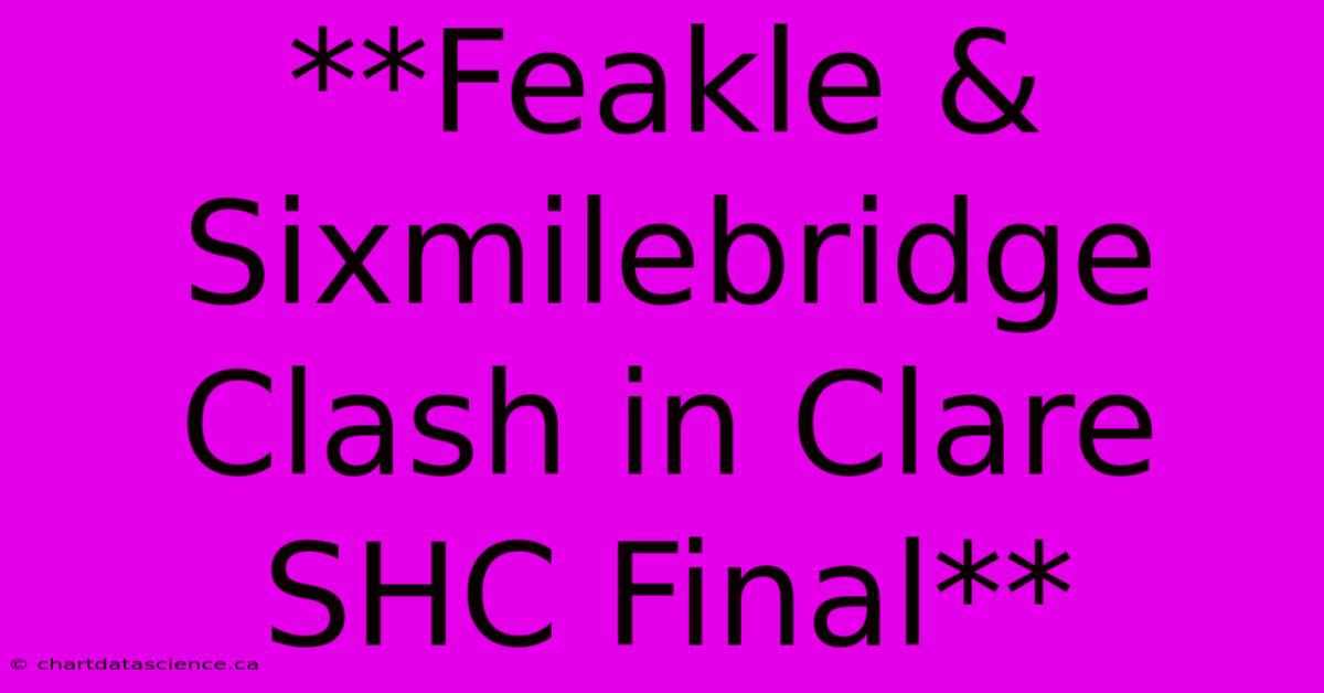 **Feakle & Sixmilebridge Clash In Clare SHC Final**