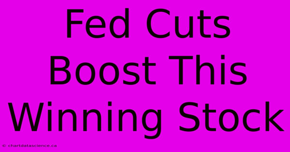 Fed Cuts Boost This Winning Stock