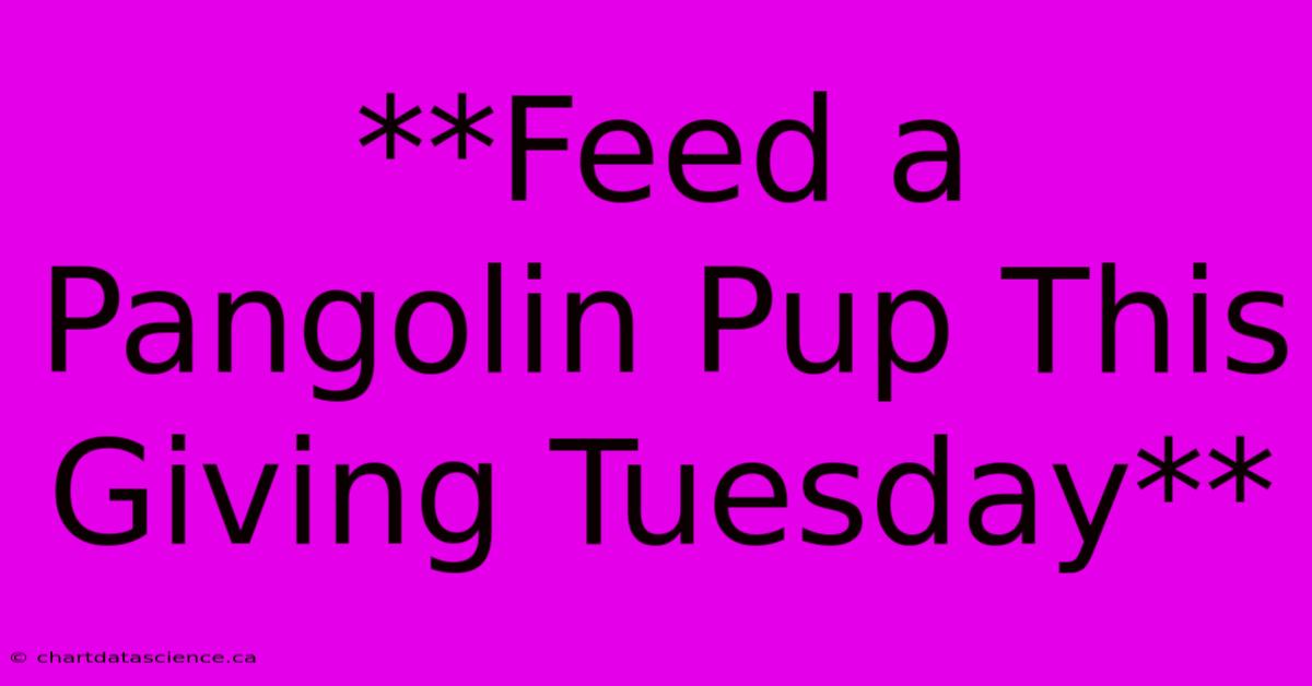 **Feed A Pangolin Pup This Giving Tuesday**