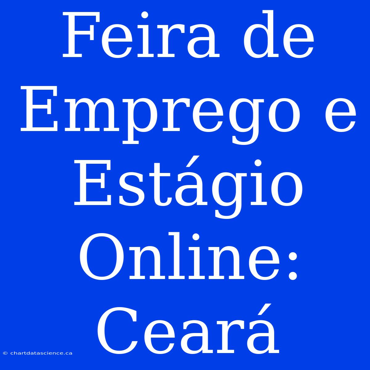 Feira De Emprego E Estágio Online: Ceará