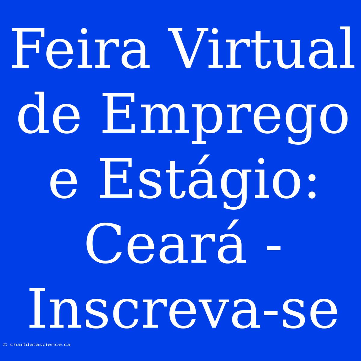 Feira Virtual De Emprego E Estágio: Ceará - Inscreva-se