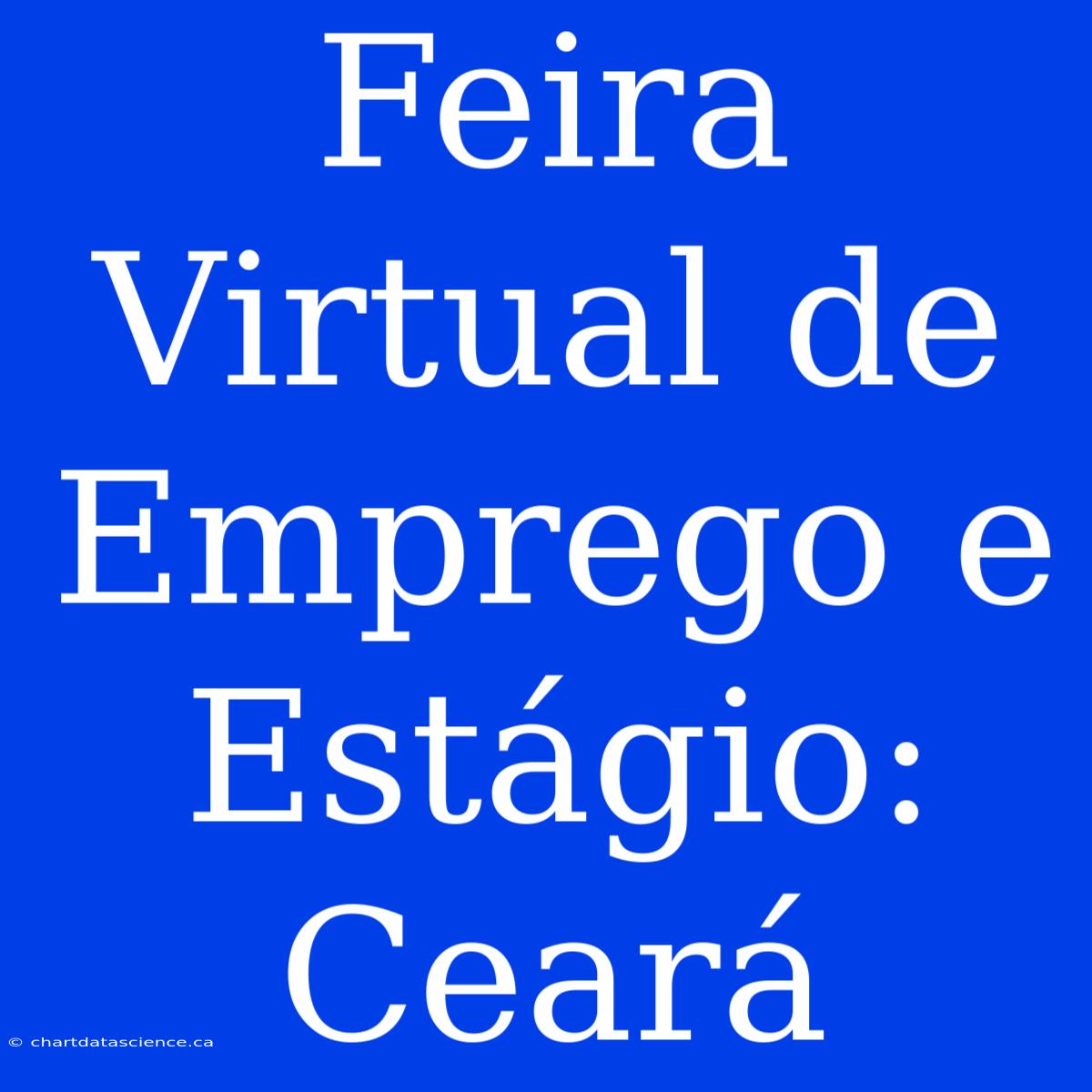 Feira Virtual De Emprego E Estágio: Ceará