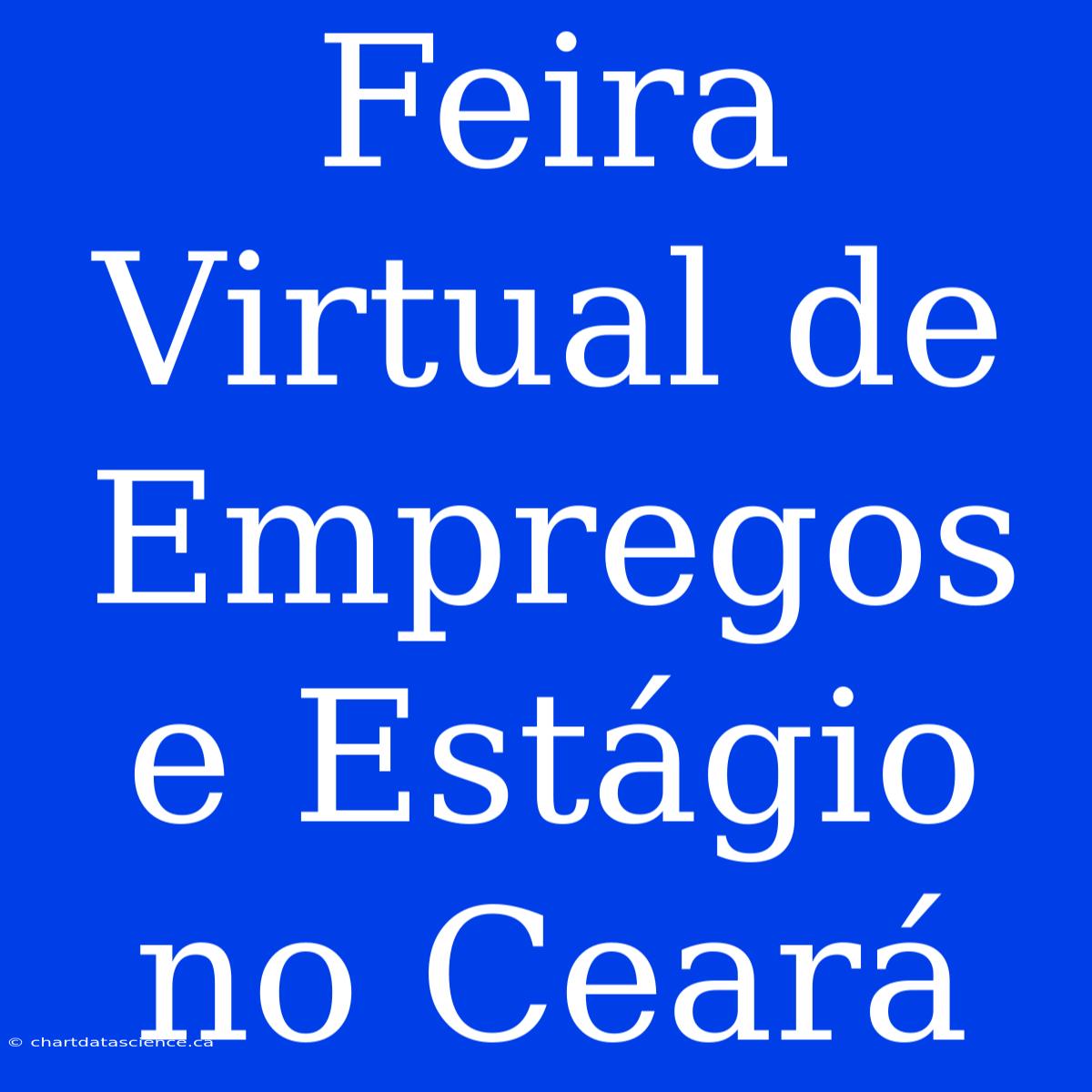 Feira Virtual De Empregos E Estágio No Ceará