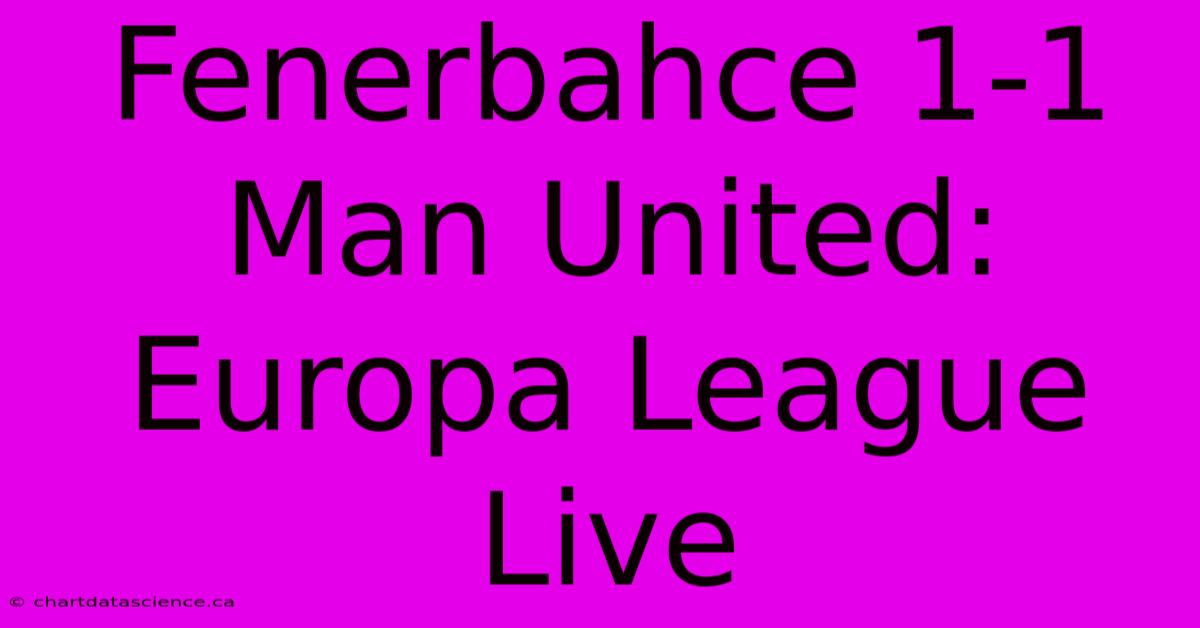 Fenerbahce 1-1 Man United: Europa League Live