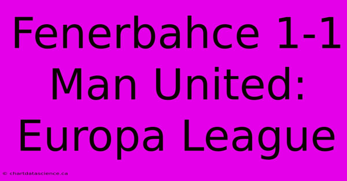 Fenerbahce 1-1 Man United: Europa League