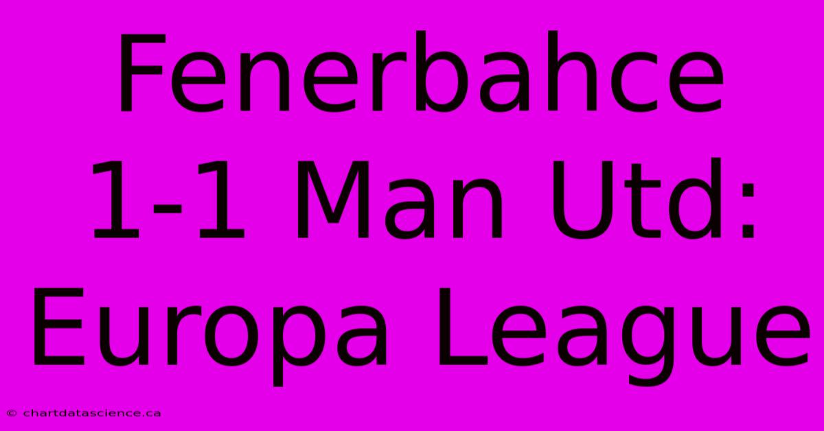 Fenerbahce 1-1 Man Utd: Europa League