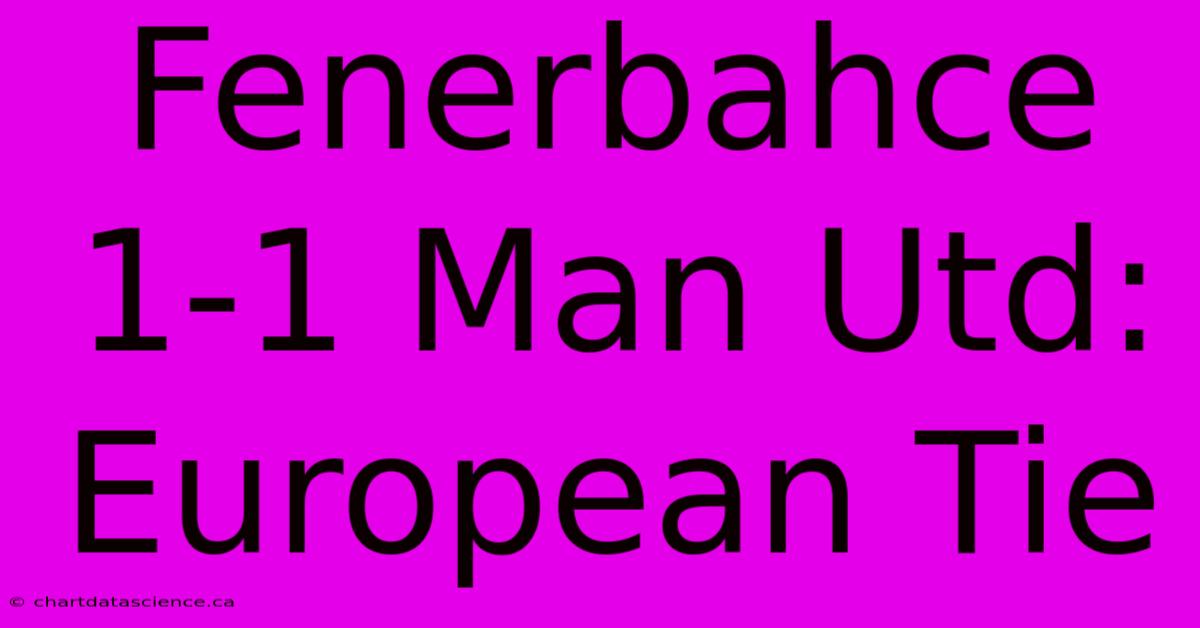 Fenerbahce 1-1 Man Utd: European Tie 