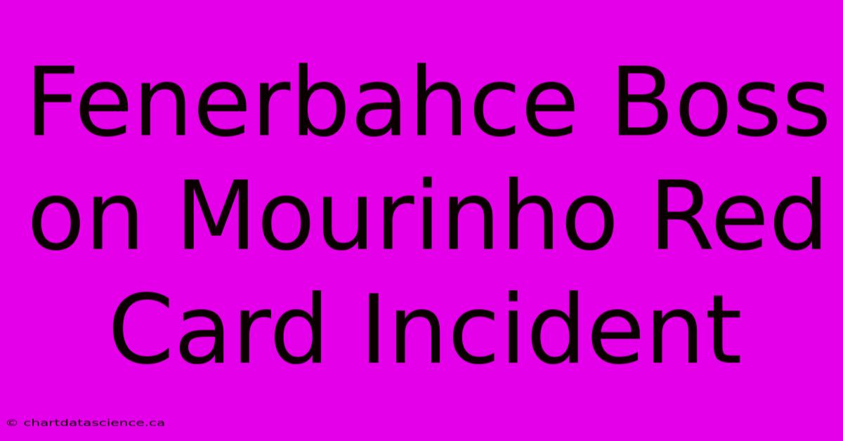 Fenerbahce Boss On Mourinho Red Card Incident