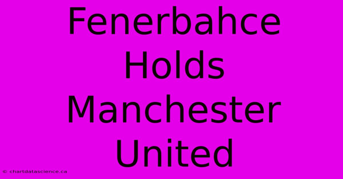 Fenerbahce Holds Manchester United