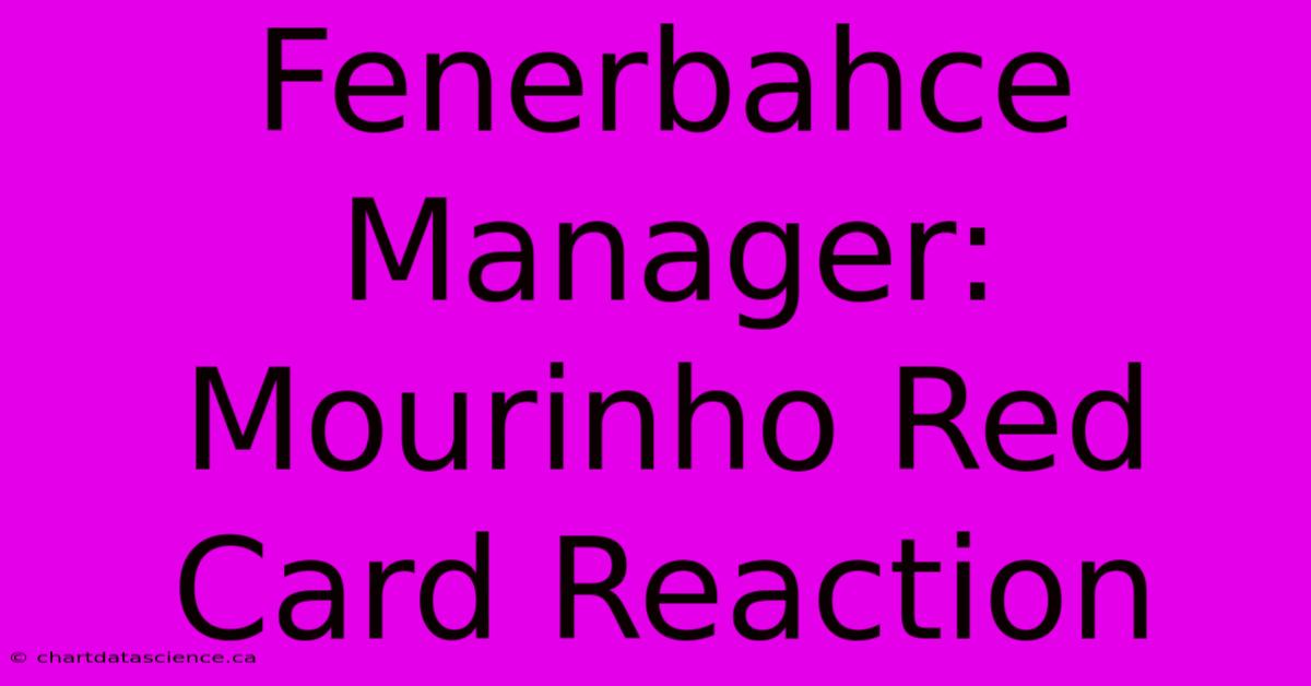 Fenerbahce Manager: Mourinho Red Card Reaction 